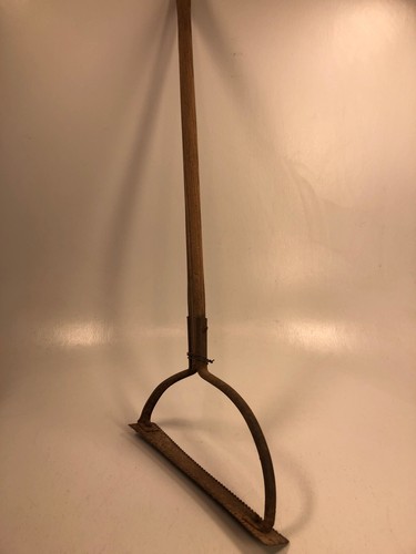 Vintage weed grass - vintage,