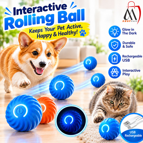 Smart interactive dog toy - smart, ball