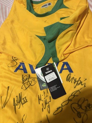 2008 2010 norwich city - city, signed