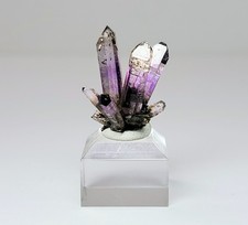 Stunning Amethyst Spray - Deep