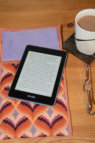 Soft ereader kindle case - ereader/kindle,