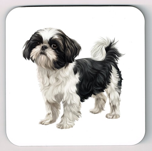 Shih tzu watercolour image - shih,