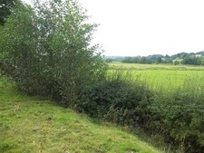 Photo A3 The Dove Flood Plain