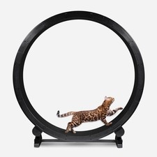 One Fast Cat Exercise Wheel