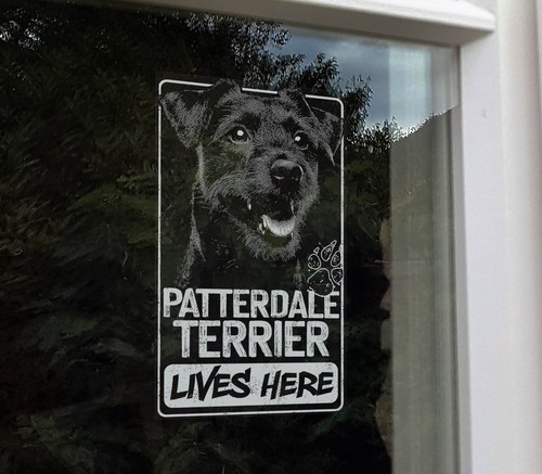 Patterdale terrier lives here - terrier,