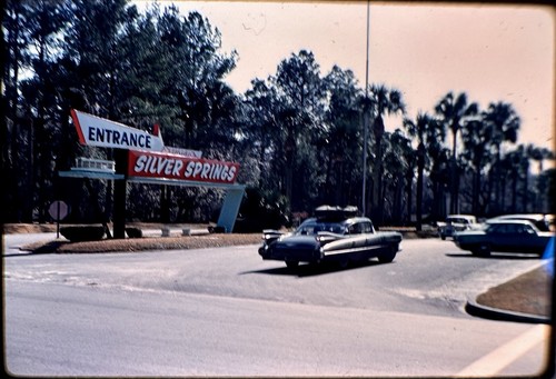 1961 silver springs - (12),