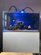 Marine Fish Tank - Full Set Up.