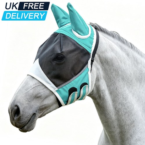 Horse fly mask - fly, mesh
