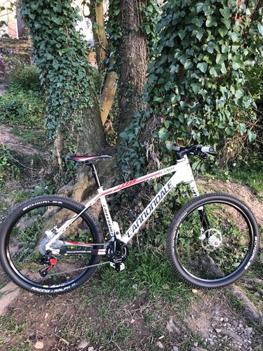 Cannondale flash mountain - cannondale,
