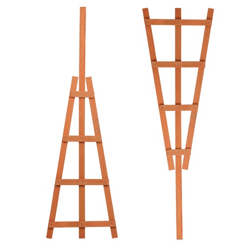 Natural wooden potted climbing - potted,