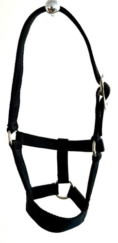 Brand new small - foal, nylon