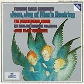 Bach J.S. : Famous Bach