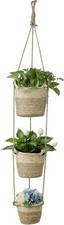 Navaris Seagrass Hanging Plant