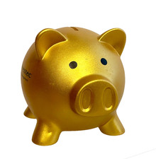 Golden Piggy 6” Coin Bank
