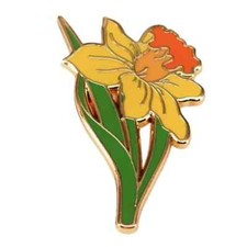 Charming yellow daffodil - charming,