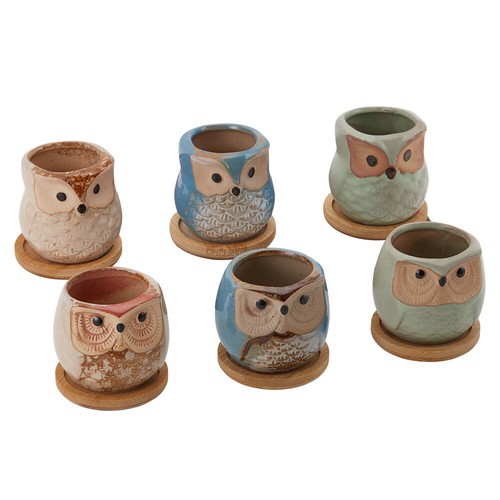 6pcs mini decorative owl - mini,