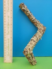 Cork bark branch 25cm snake - bark,