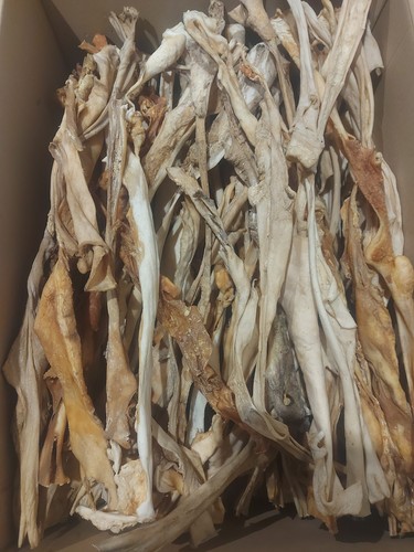 1kg giant lamb - lamb, natural