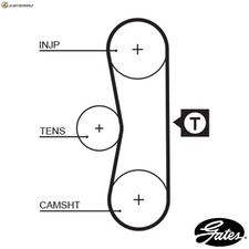 TIMING BELT 5062 FOR PEUGEOT