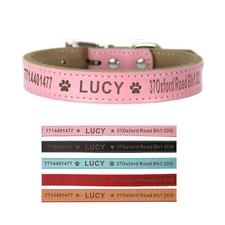 Personalised Leather Dog