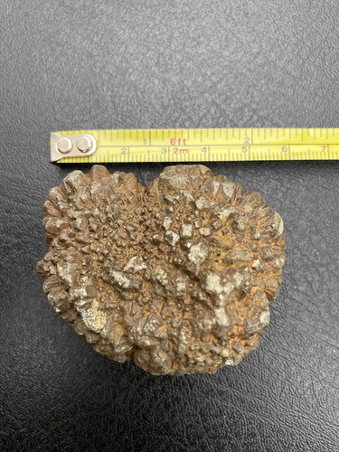 Iron pyrite nodule from seven - iron,