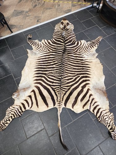 Real zebra skin antique - zebra,