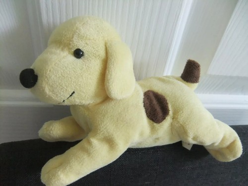 Spot the dog - pale, yellow