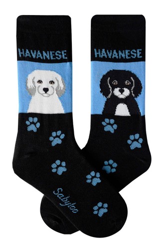 Havanese crew socks - havanese, unisex
