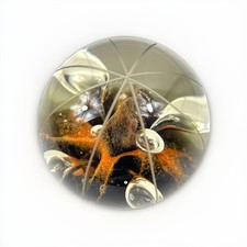 Caithness Paperweight Sea