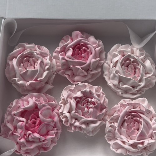 Marshmallow peony flowers - 3x,