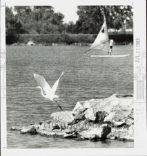 1983 Press Photo Heron