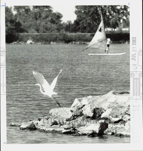 1983 press photo heron - photo,