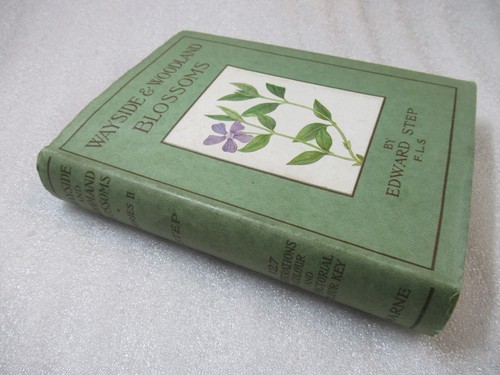 1941 wayside woodlands - wayside, &