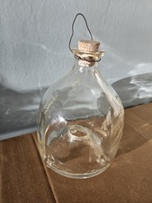 Antique Glass Fly Bee Wasp