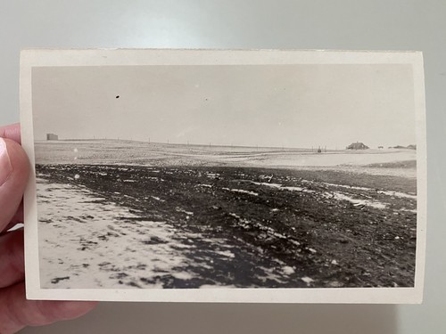 Vintage terry prairie - terry,