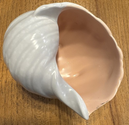 Poole pottery shell pink grey - poole,