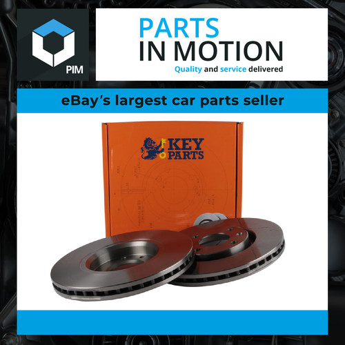 Brake discs pair - discs,