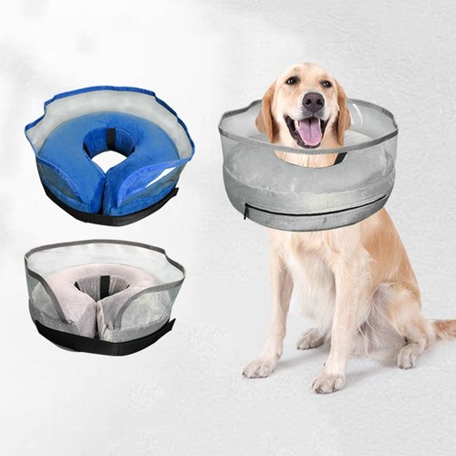 Pet dog cat inflatable - pet,