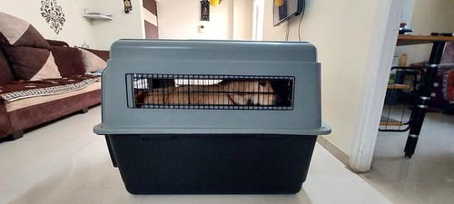 Large dog crate - large,