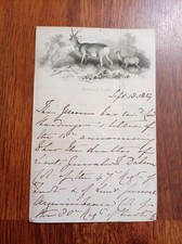 Original Queen Victoria Signed