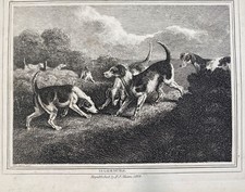 Harriers Dog c1834 Dated