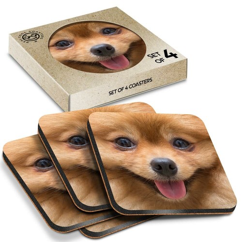 Boxed square coasters - 4,