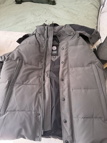 Canada goose arctic program - goose,