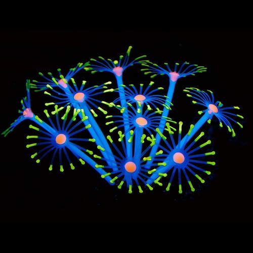 Silicone glowing artificial - silicone,