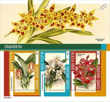 ORCHIDS / Orchid Wild Flowers