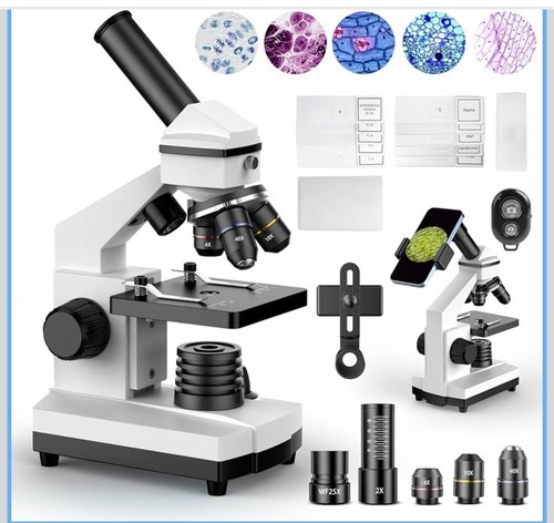 Bebang 100x 2000x microscope - bebang,