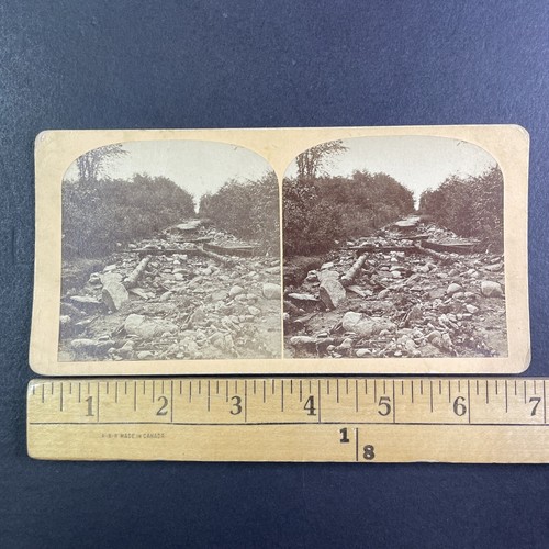 Mount willey rockslide - willey,