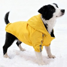 Warm Winter Pet Apparel
