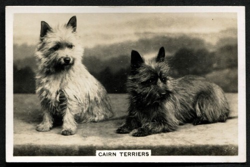 Tobacco card senior service - tobacco,