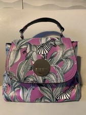 Zebra & Leaf Design Statement